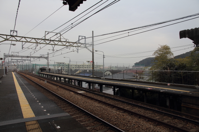 img0061.jpg