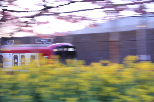 img0183.jpg