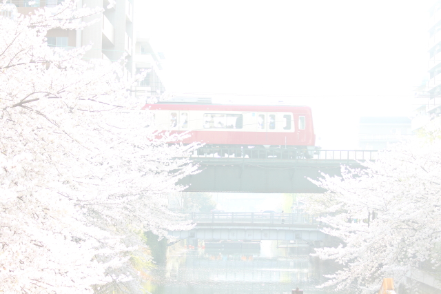 img0086.jpg