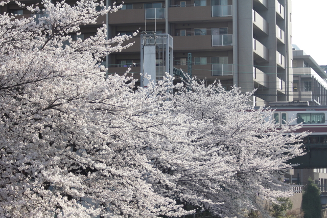 img0114.jpg