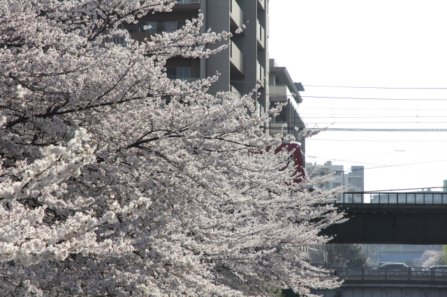 img0125.jpg