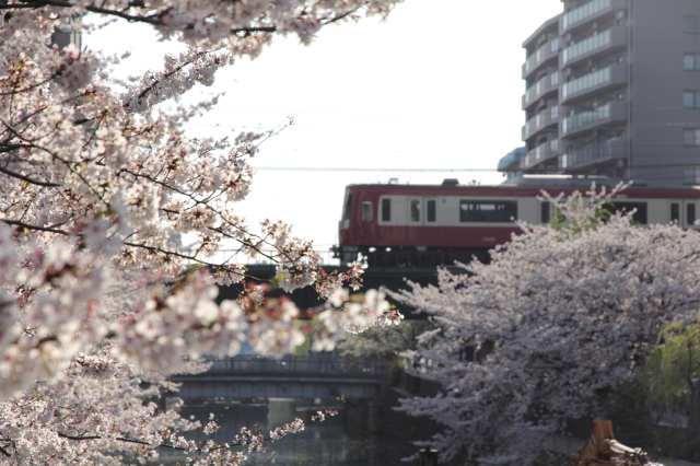 img0137.jpg
