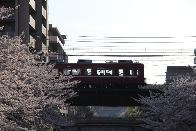 img0215.jpg