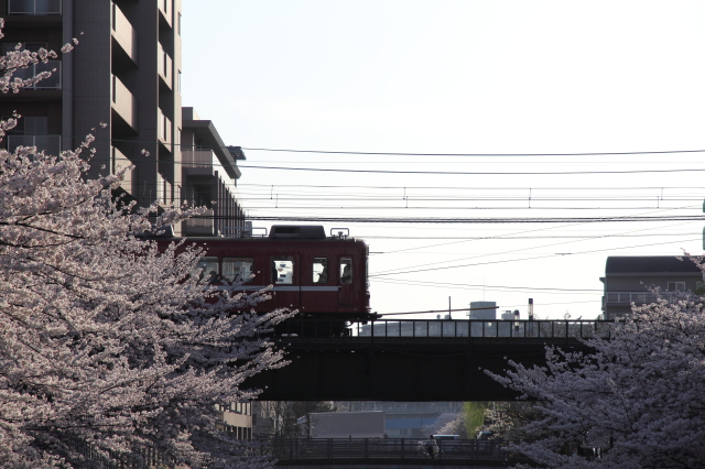 img0221.jpg