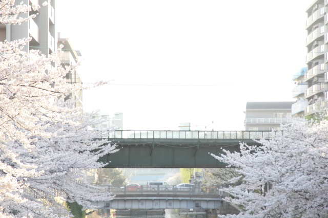 img0299.jpg