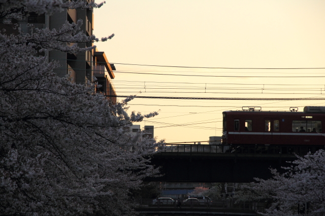 img0018.jpg