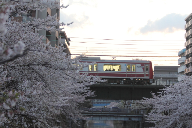 img0049.jpg
