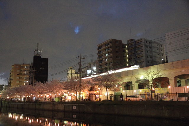 img0095.jpg