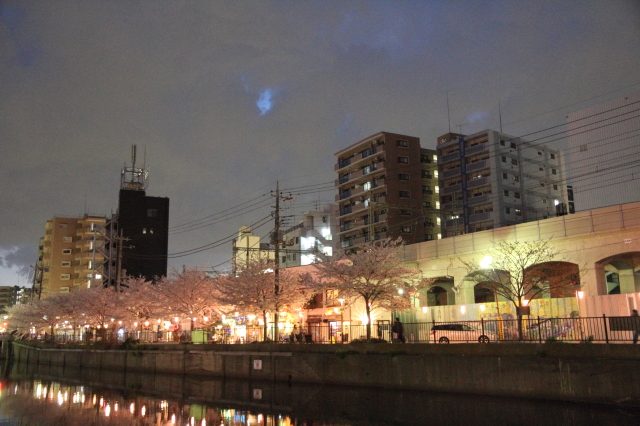 img0100.jpg