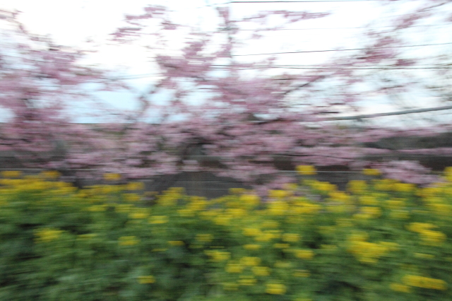 img0035.jpg