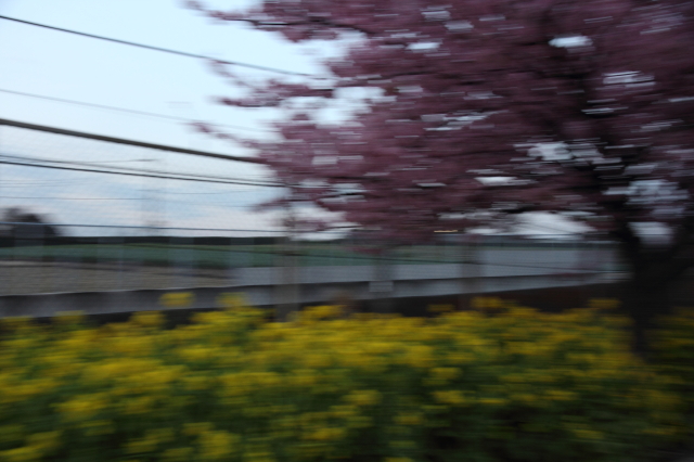 img0043.jpg