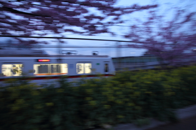 img0058.jpg