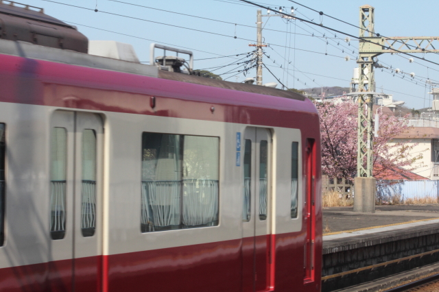 img0009.jpg