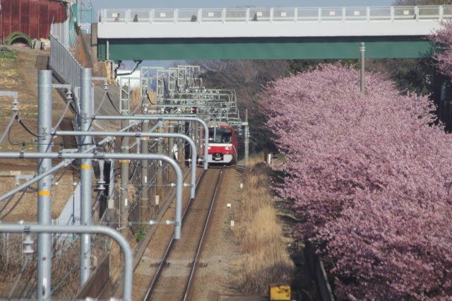 img0048.jpg
