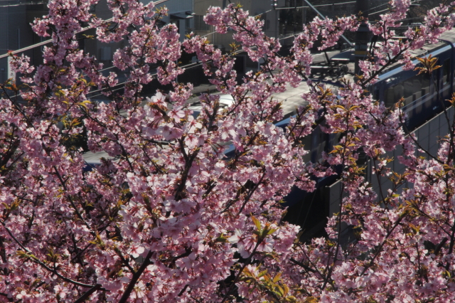 img0128.jpg