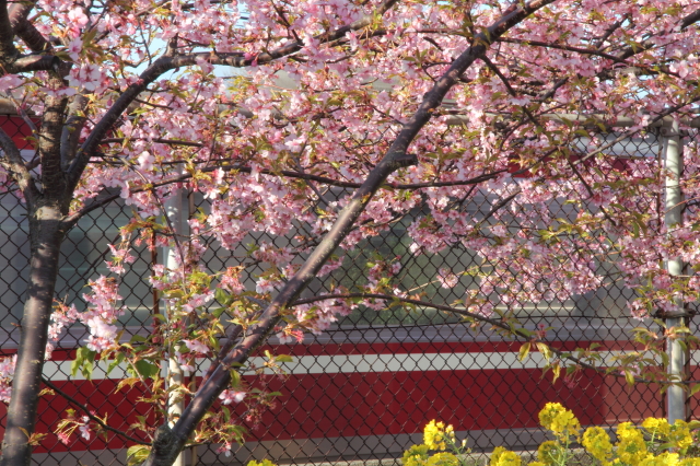 img0170.jpg