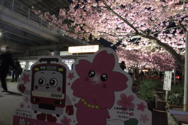 img0210.jpg