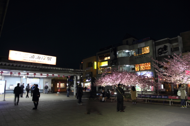img0213.jpg