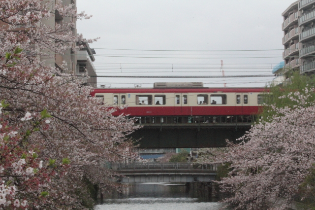 img0052.jpg