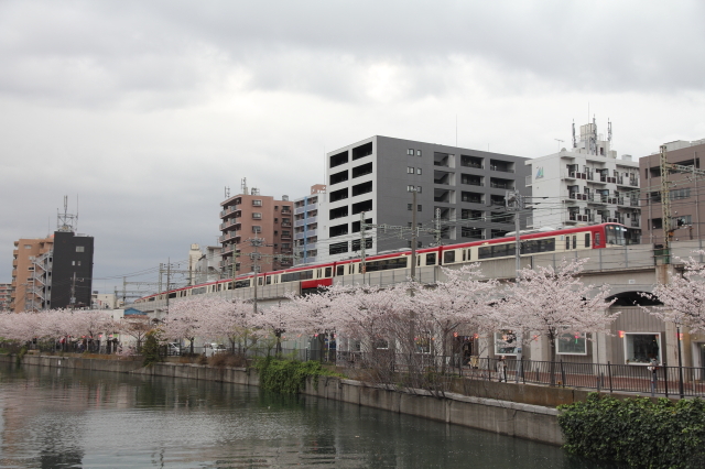 img0194.jpg