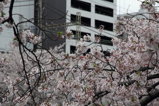 img0199.jpg