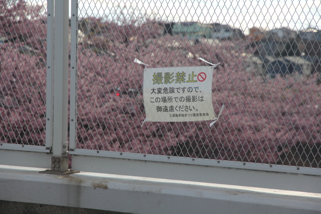img0013.jpg