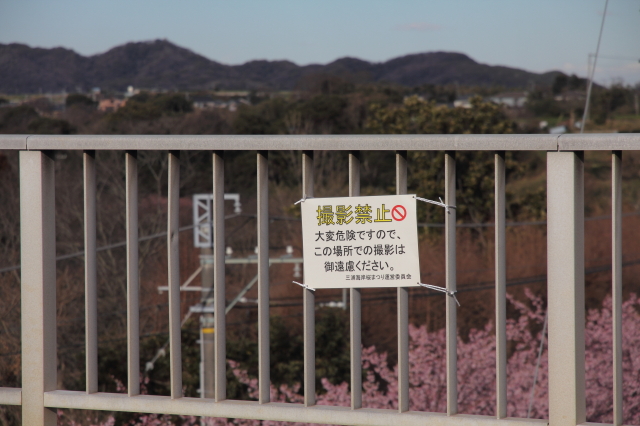 img0015.jpg