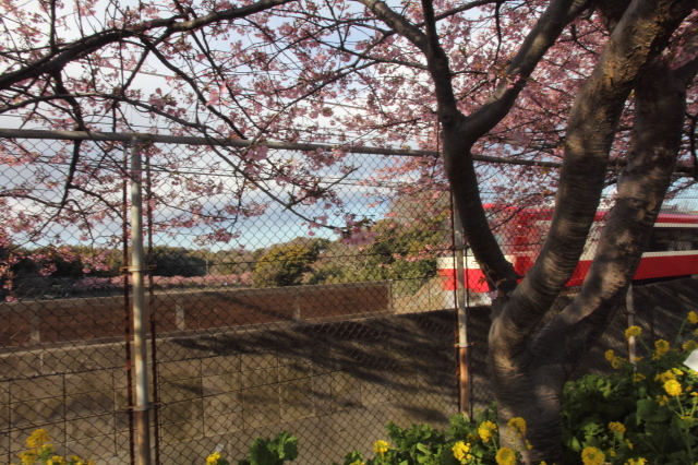 img0021.jpg