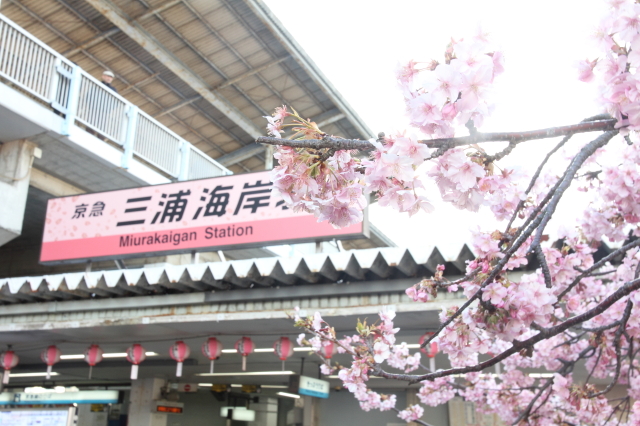 img0046.jpg
