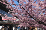 img0002.jpg