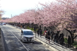 img0003.jpg