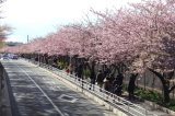 img0004.jpg