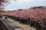 img0005.jpg