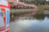 img0008.jpg