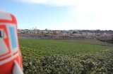 img0012.jpg