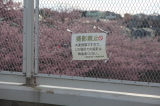 img0013.jpg