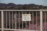 img0015.jpg