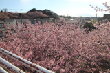 img0017.jpg