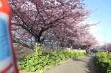 img0019.jpg