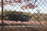 img0020.jpg