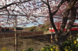 img0021.jpg