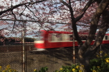 img0022.jpg
