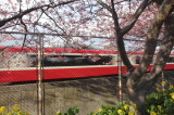 img0023.jpg
