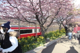img0024.jpg