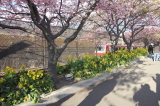 img0026.jpg