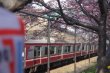 img0027.jpg