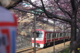 img0029.jpg