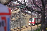 img0031.jpg