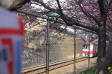 img0033.jpg