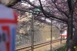 img0034.jpg